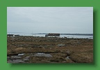Connemara (172)